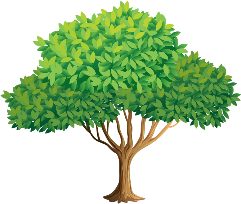 Фото, Автор Soloveika На Яндекс - Tree Illustration Vector Png (800x684), Png Download