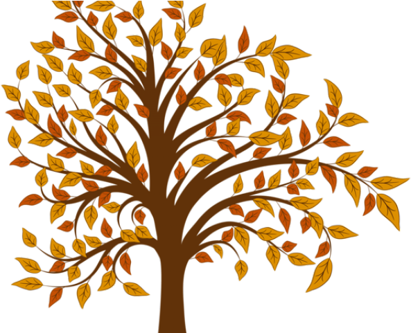 Falling Clipart Png - Fall Tree Illustration (640x480), Png Download
