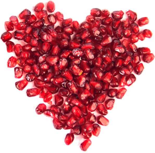 Ethics - Rabbit Haemorrhagic Disease (595x586), Png Download