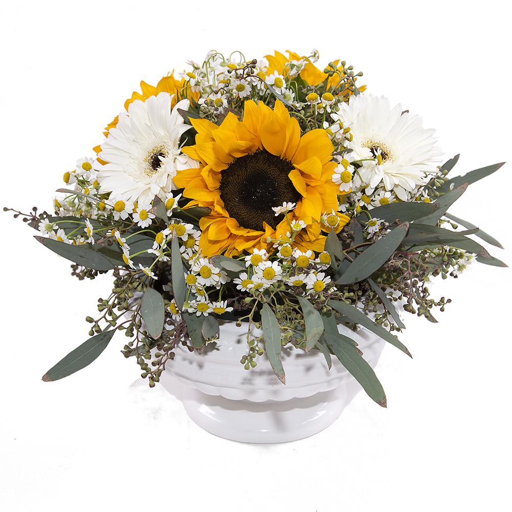 Picking Daisies - Bouquet (1000x1000), Png Download