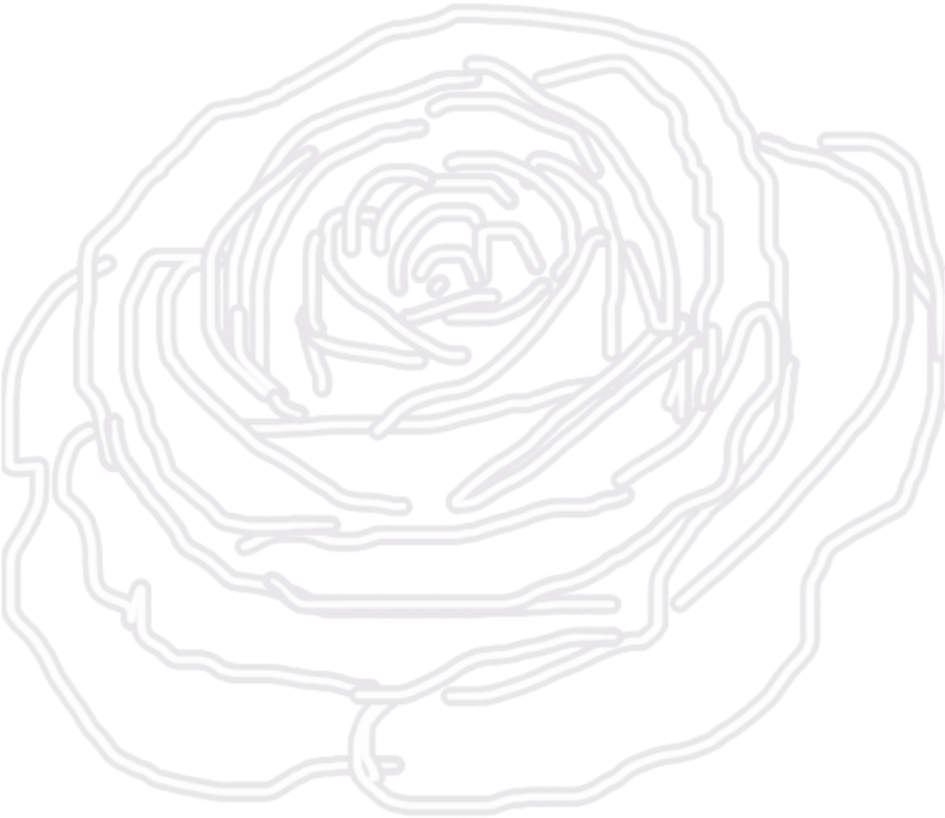 Garden Roses (1024x1024), Png Download