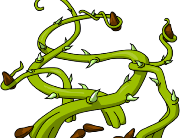 Seeds In Thorns (640x480), Png Download