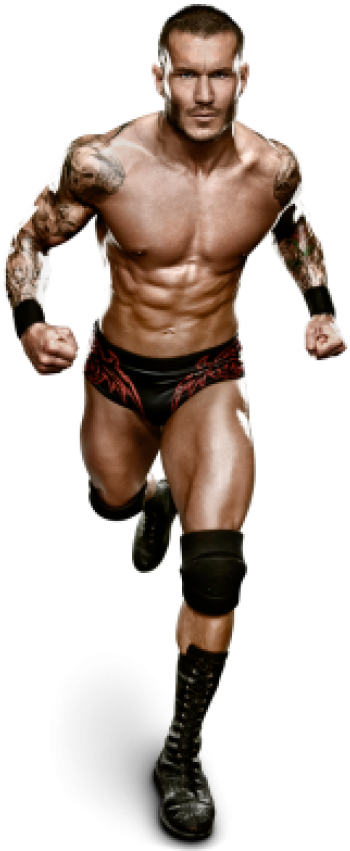 Randy Orton - Wwe Randy Orton 2012 (400x910), Png Download
