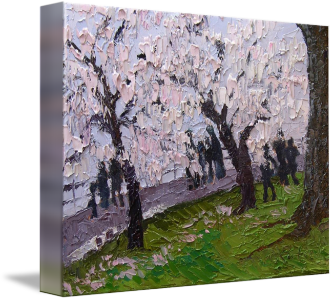 Landscape Drawing Cherry Blossom - Canoe Birch (650x585), Png Download