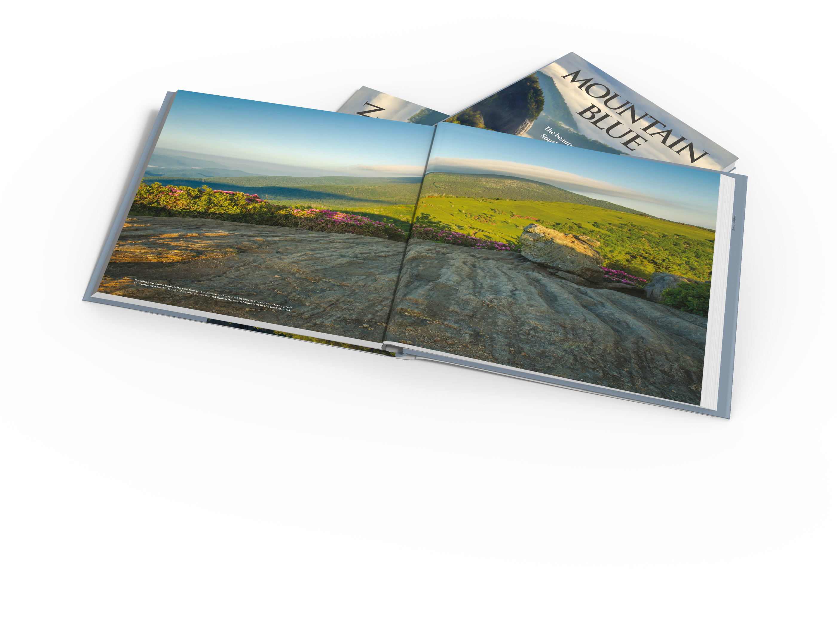 Les Saucier & Janet Garrity Saucier - Painting (2800x2800), Png Download