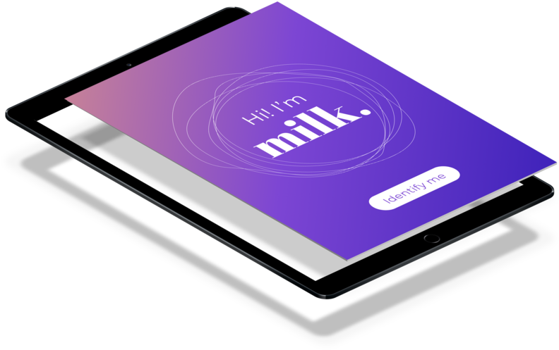 Milk - Web Design (800x600), Png Download