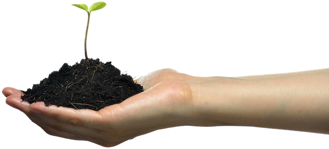 The Wealth Of Nations Springs From The Fertility Of - Houseplant (800x479), Png Download