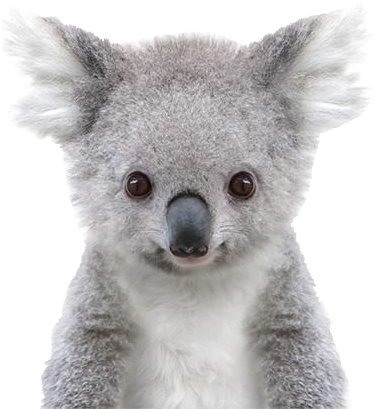 Crown Prints Baby Animal (580x674), Png Download