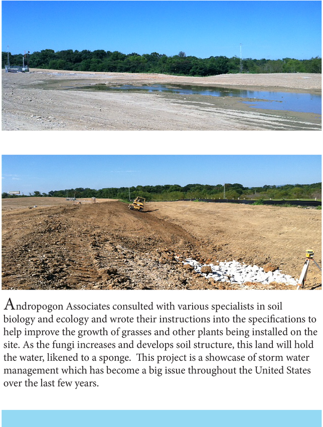 Chattanooga-2 - Freshwater Marsh (689x851), Png Download