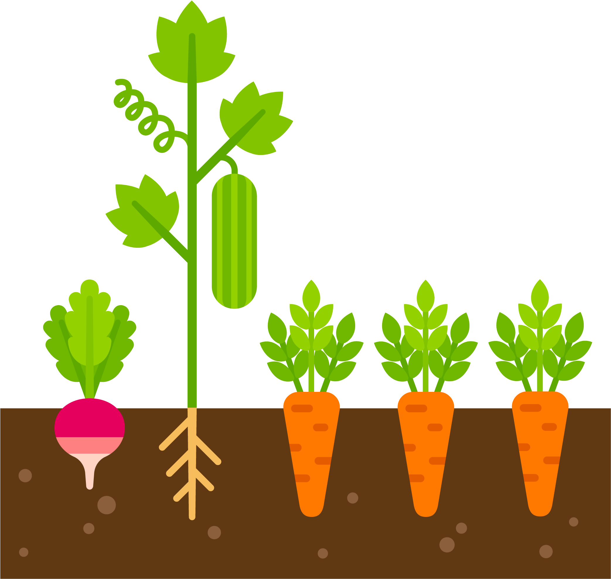 Seeds Clipart Healthy Soil - Cartoon Vegetables In The Ground (2084x2084), Png Download