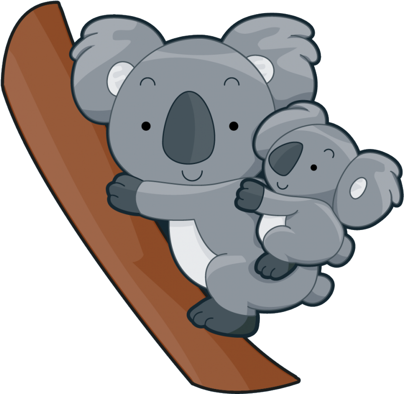 370 58576 2018 02 21 583 Kb 800 Px 800 Px - Cute Wallpapers Of Koala (800x800), Png Download