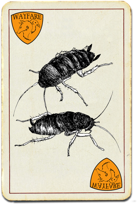 Oriental Cockroach - Madagascar Hissing Cockroach (524x712), Png Download