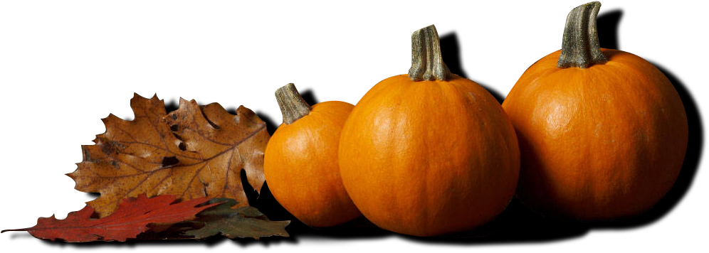 Pumpkins - Thanksgiving Backgrounds (1007x369), Png Download