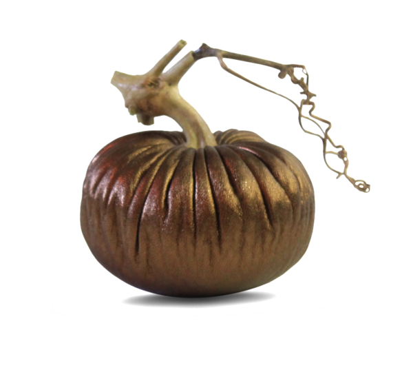 Copper Pumpkins - Velvet Pumpkins - Pumpkin (700x700), Png Download