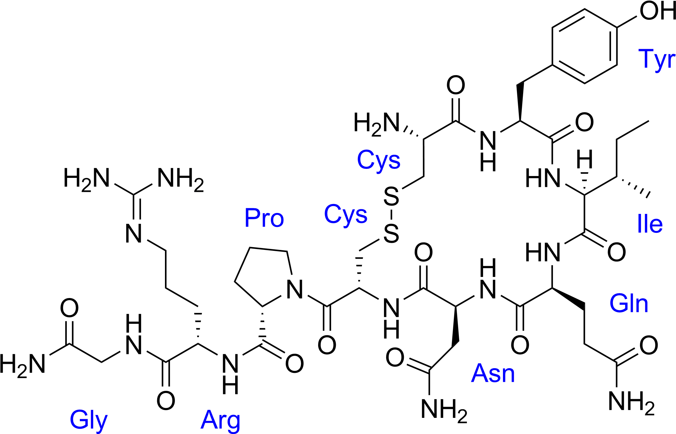 Vasotocin With Labels - People Think Of Love What Love Actually (2204x1413), Png Download