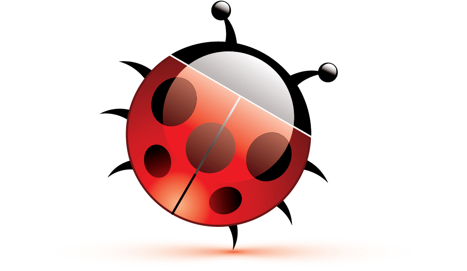 Ladybug (1054x794), Png Download