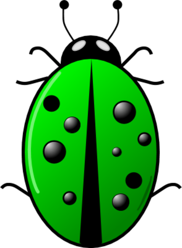 Vector Clip Art - Transparent Bug Clipart (600x816), Png Download