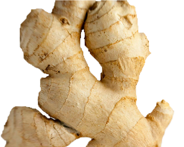 Ginger Clipart Transparent - Ginger Pack On Chest (640x480), Png Download