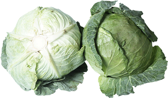 Brussels Sprout (700x700), Png Download