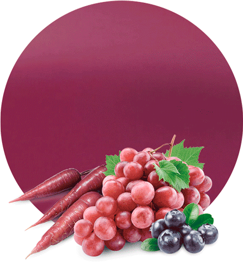 Com/wp Blueberry Purple Carrot And Purple Cabbage Concentrate - Uva Red Globe Png (536x595), Png Download
