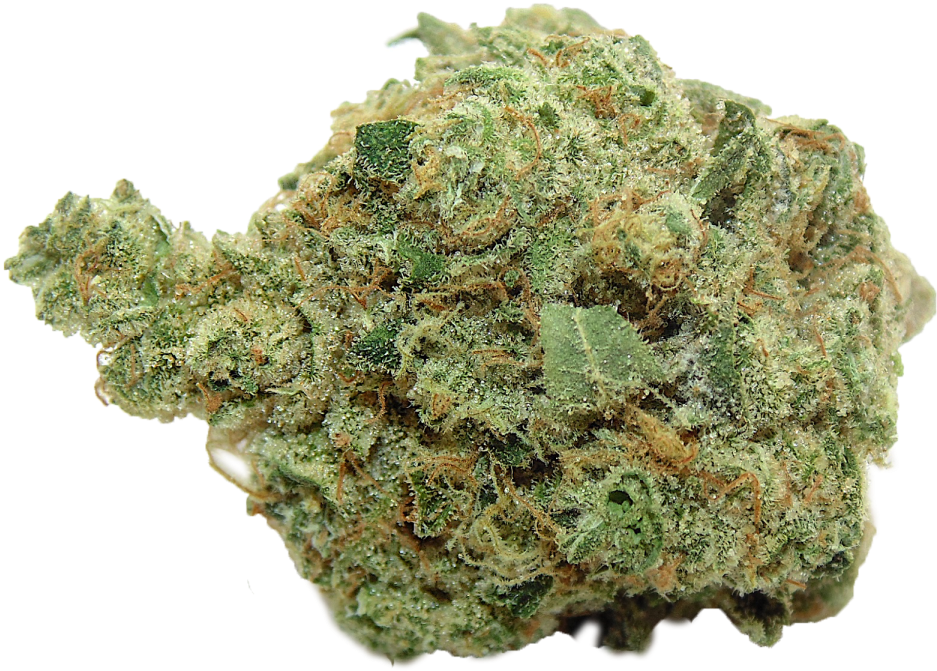 Kings Garden Banana Og (1200x718), Png Download