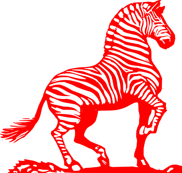 Drawing Zebra Black And White (756x720), Png Download