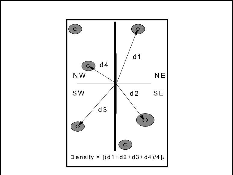 The Point-quarter Sampling Technique - Diagram (774x581), Png Download