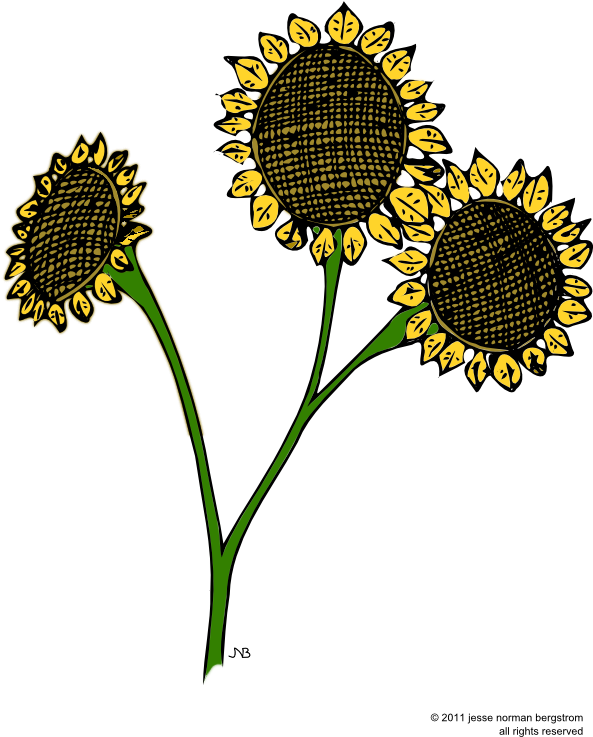 Here - Sunflower (600x800), Png Download