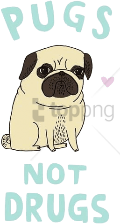 Free Png Download Shirt Png Images Background Png Images - Pugs Not Drugs Shirt (480x798), Png Download
