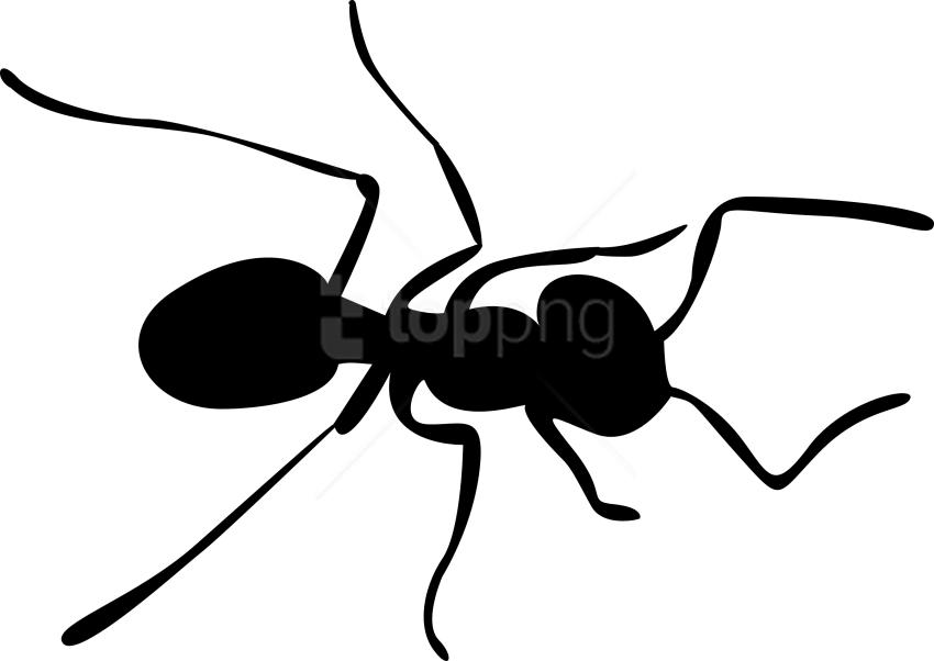 Free Png Download Ants Clipart Png Photo Png Images - Silhouette Ant (850x602), Png Download