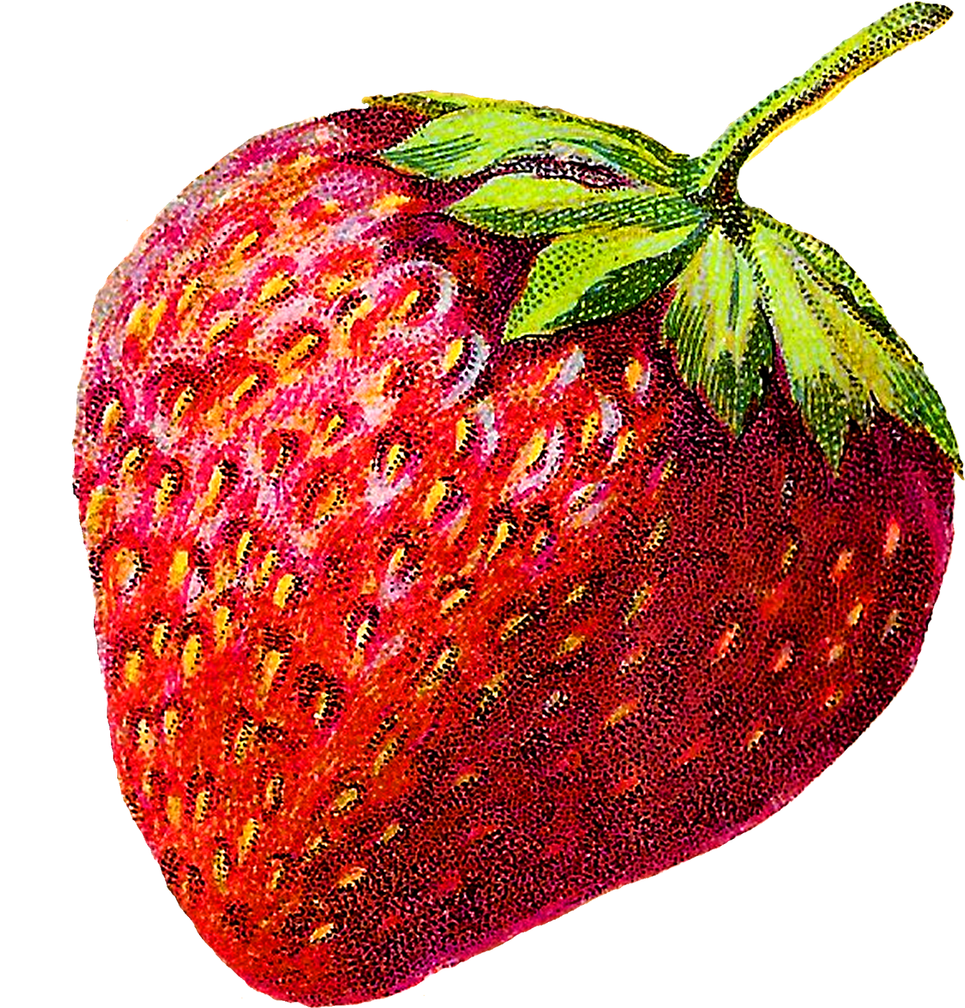 Strawberry Png Image - Strawberry Illustration Vintage (1469x1600), Png Download