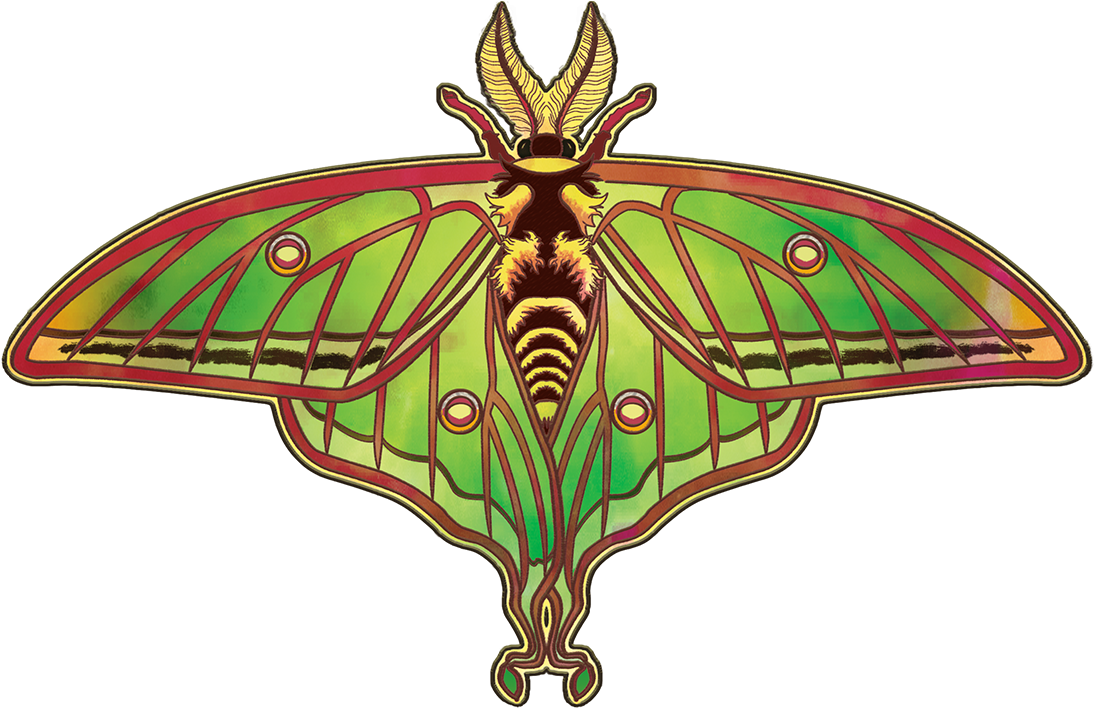 Spanish Luna Moth - Swallowtail Butterfly (1094x708), Png Download