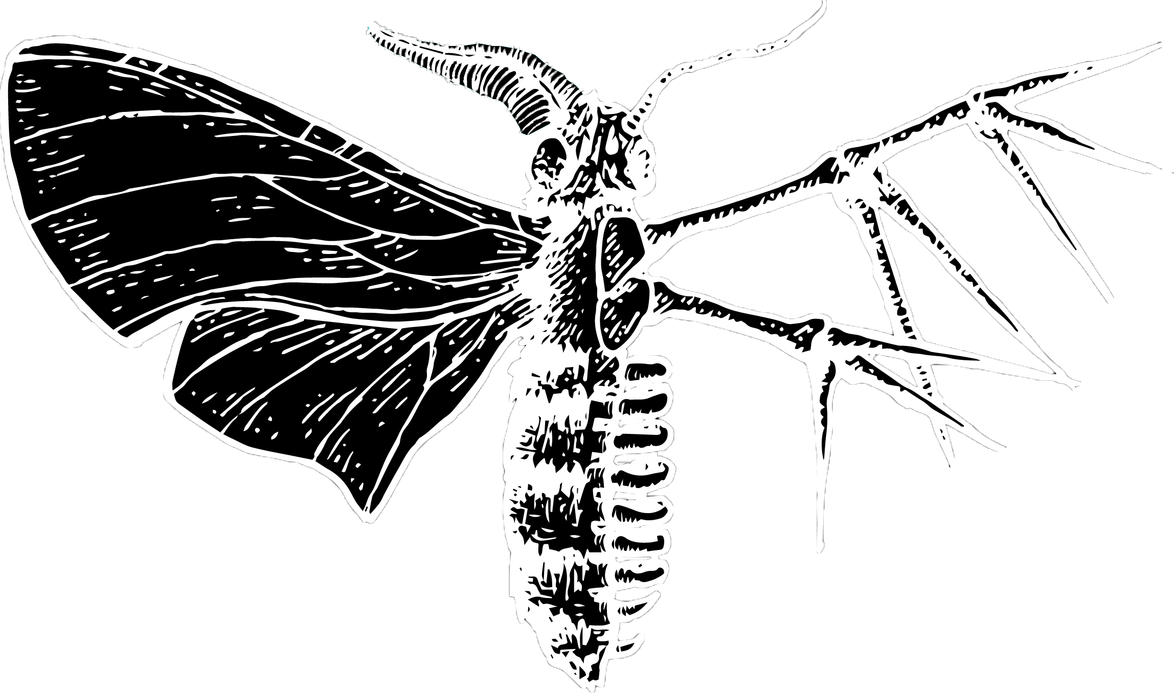 Cover - - Net-winged Insects (2296x1356), Png Download