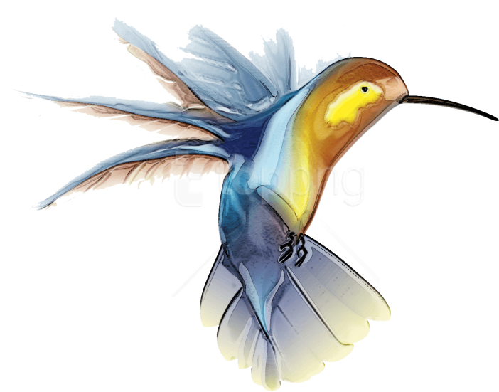 Free Png Download Hummingbird Tattoo Png Images Background - Transparent Hummingbird (850x709), Png Download