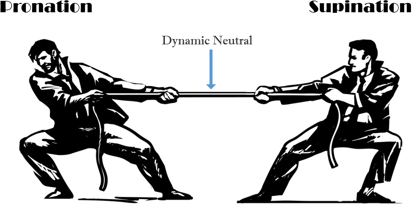 Tug Of War - Tug Of War No Background (1494x777), Png Download