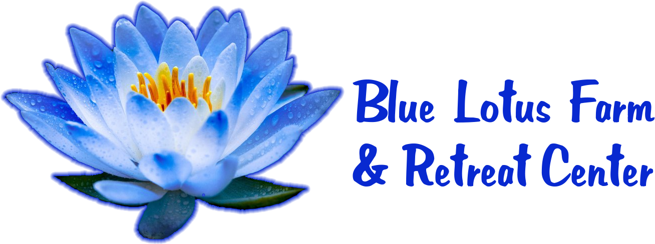 Blue Lotus Utopia Origin (1412x572), Png Download