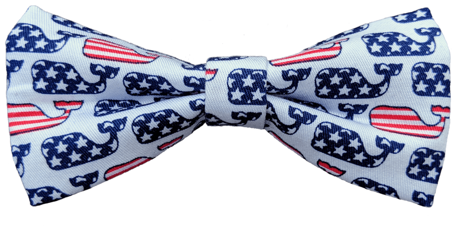 Home / Pet Bow Tie / Free Whaley Bow Tie - Paisley (2048x1592), Png Download