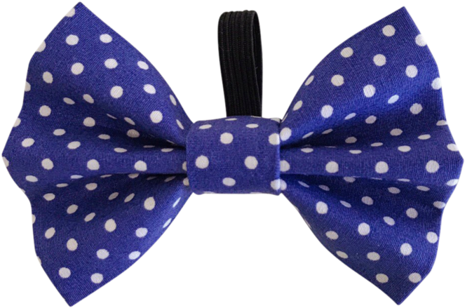 Navy Polka Bow 4ac3e0a6 5890 437a 8885 9b2daf32706a - Polka Dot (1024x769), Png Download