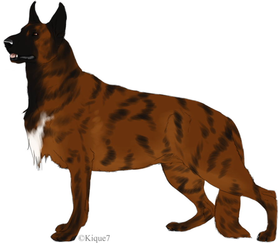 German Shepherd Puppy Illustration - Great Dane (990x807), Png Download