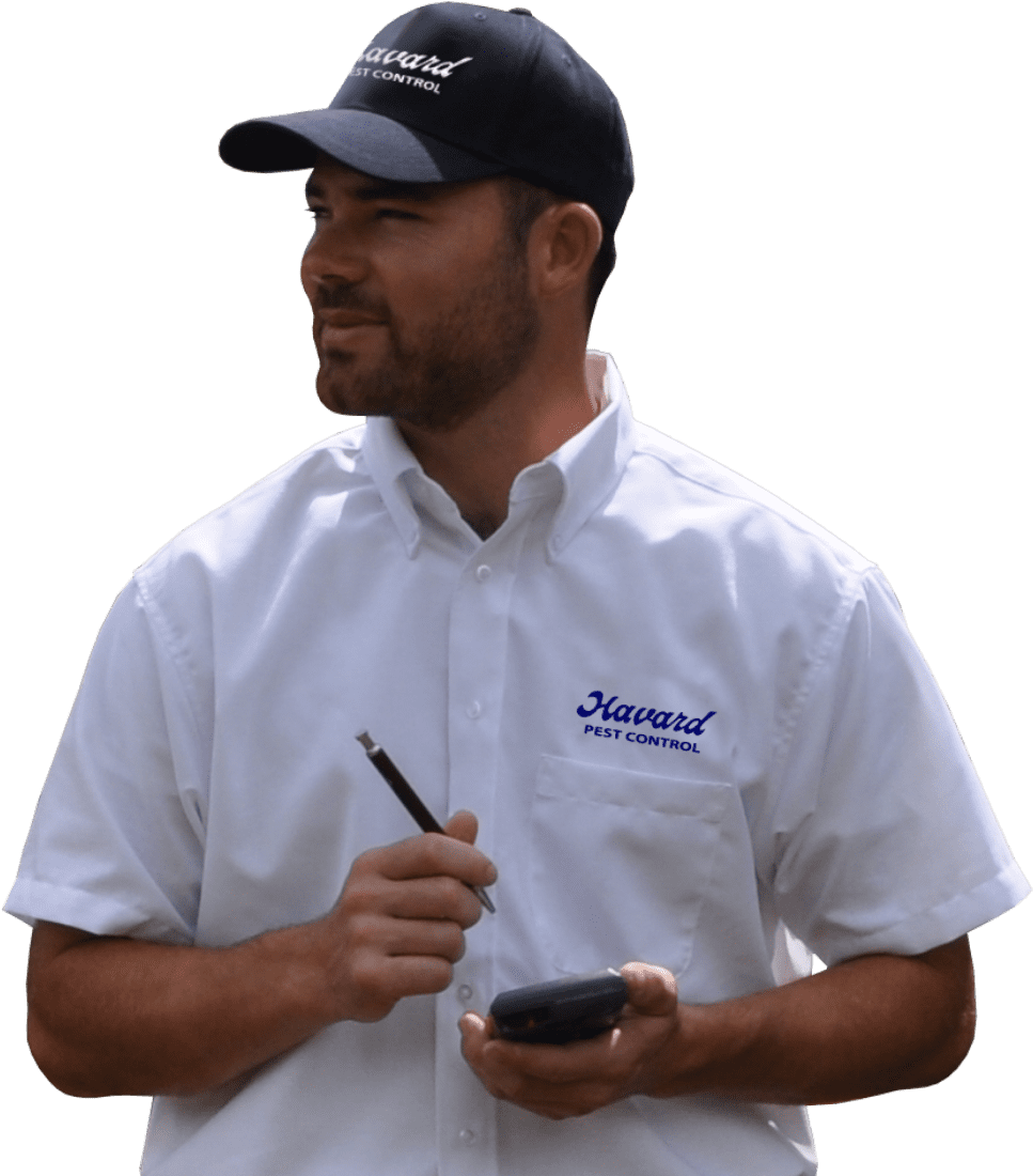 Havard Pest Control Technician - Man (992x1136), Png Download