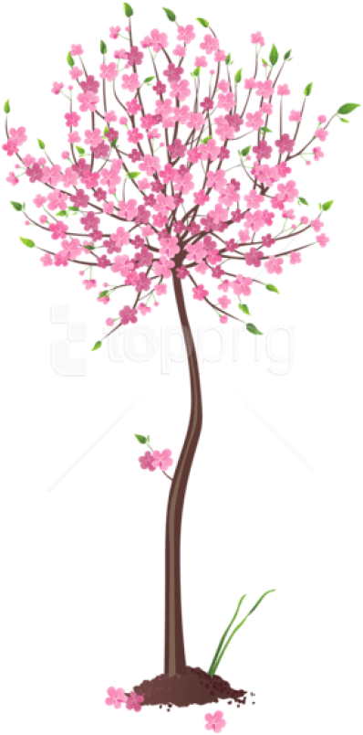 Free Png Spring Pink Tree Png Images Transparent - Pink Tree Png Clipart (480x850), Png Download