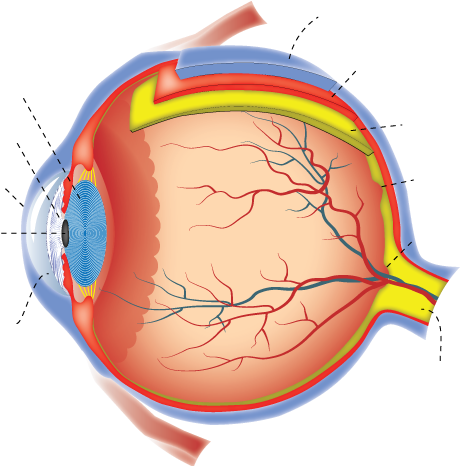 Diagram (670x465), Png Download