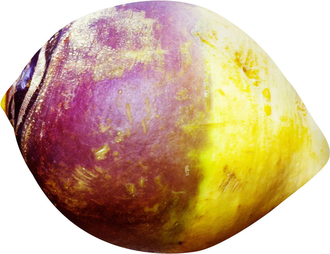 Download Png - Rutabaga Png (1200x932), Png Download