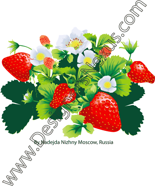 Grape Vine Clipart Etc Image - Fashion Illustration (540x649), Png Download