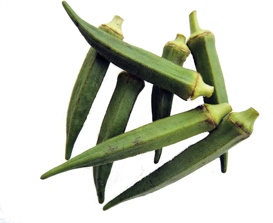 L'okra, Également Appelé Gombo, Ainsi Que D'autres - Okra (1181x886), Png Download