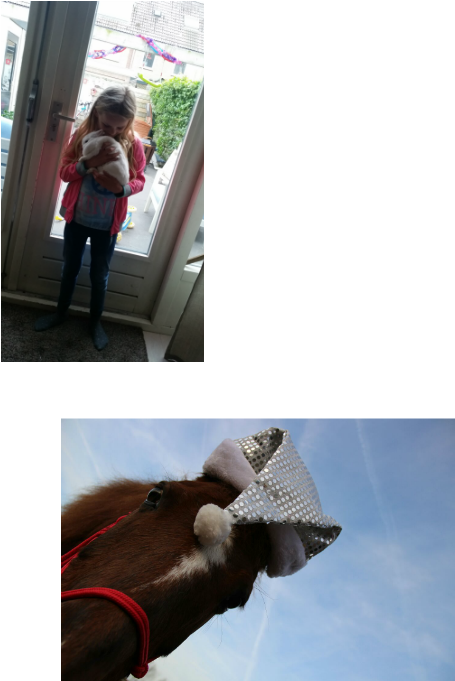 Explore These Ideas And Much More - Ribbon Seal (1280x720), Png Download