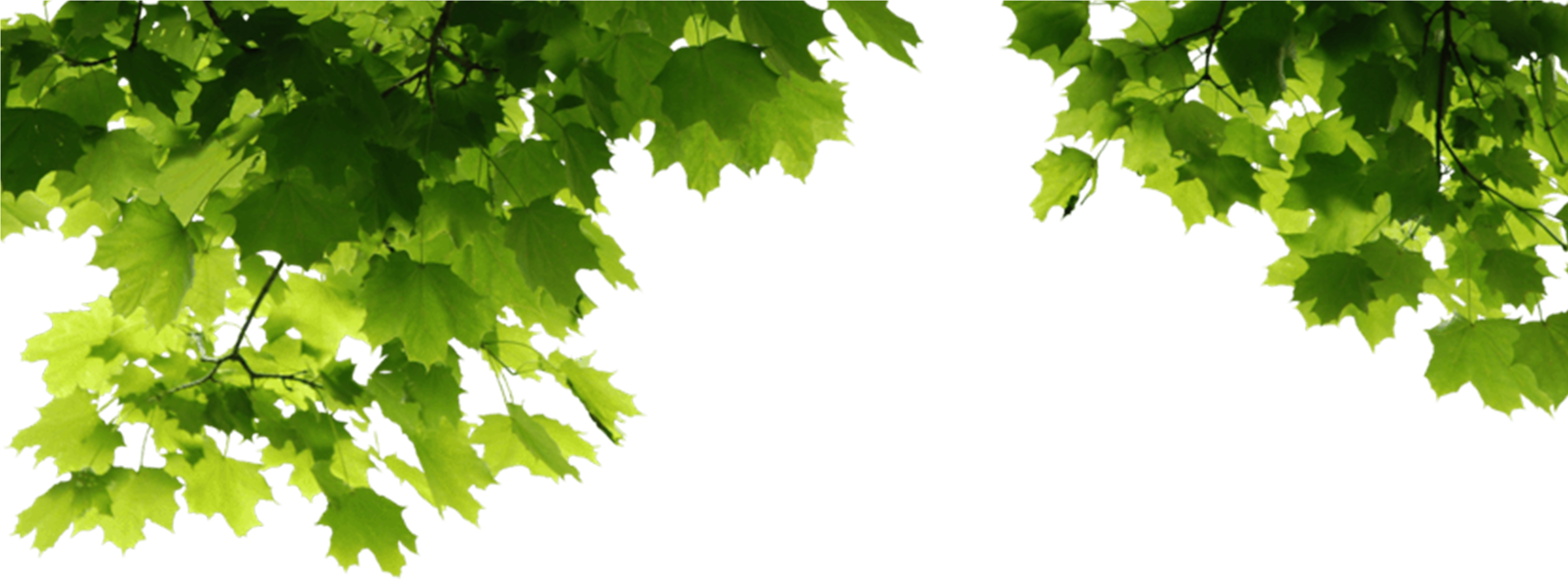 Outdoor Portrait Manipulation - Png Images For Manipulation (3156x4551), Png Download