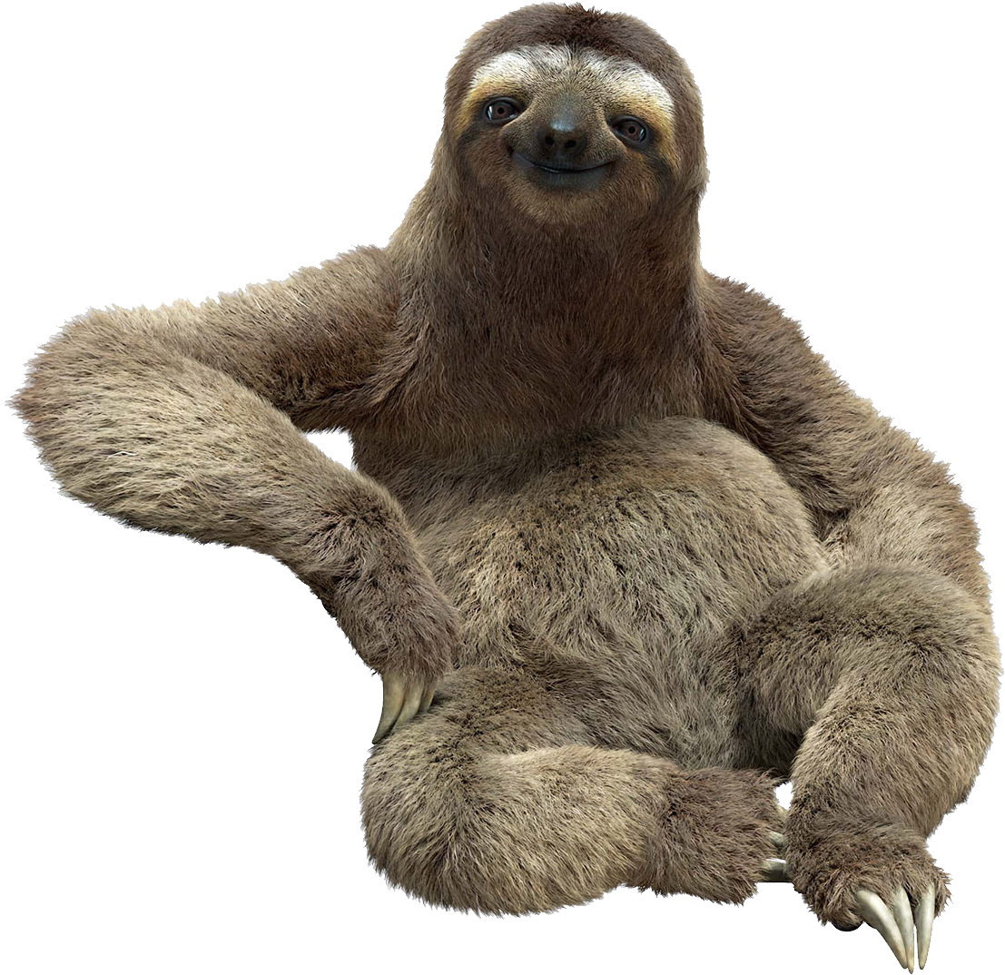 Sloth Png - Sloth With White Background (1107x1074), Png Download