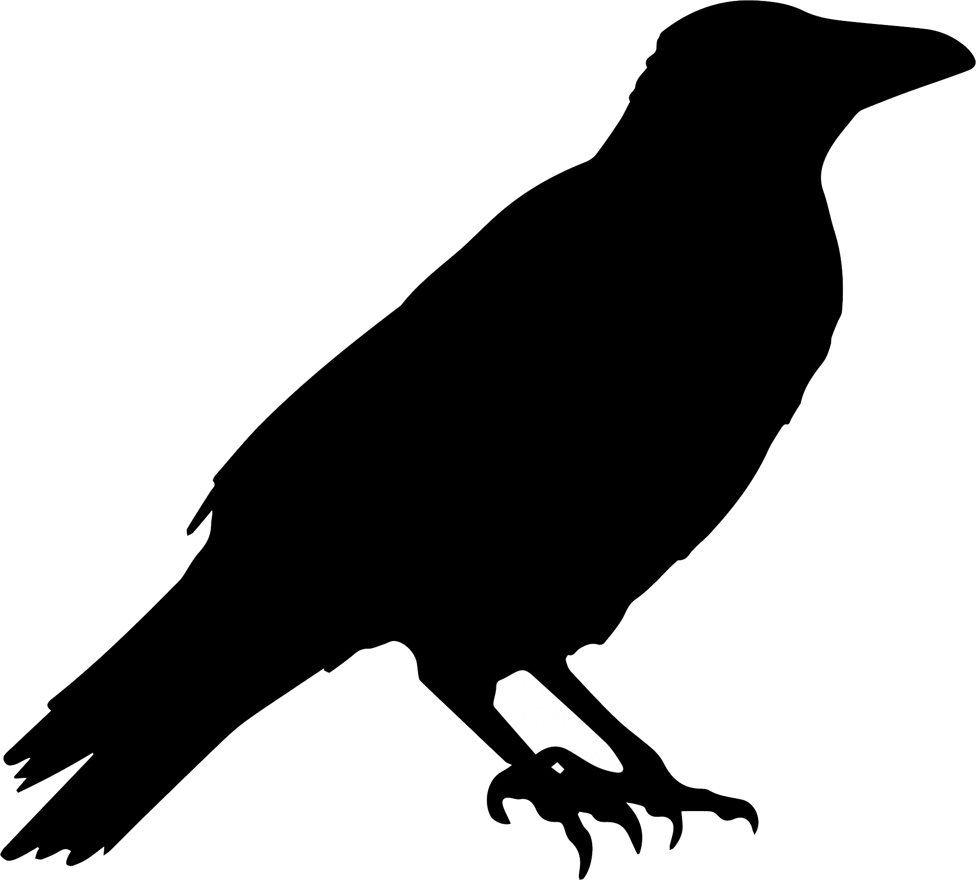Crow Silhouette (1912x1723), Png Download