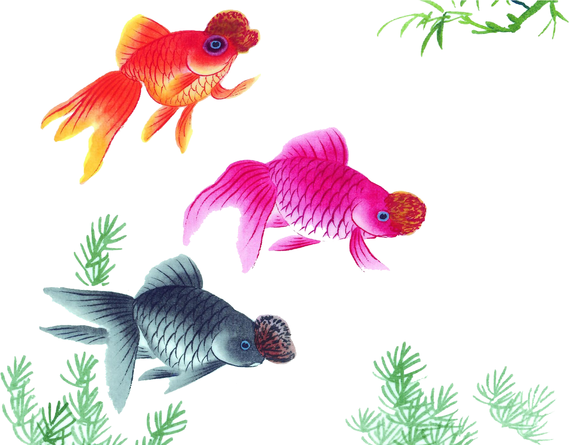 1920 X 1440 6 - Goldfish Watercolor Png (1920x1440), Png Download